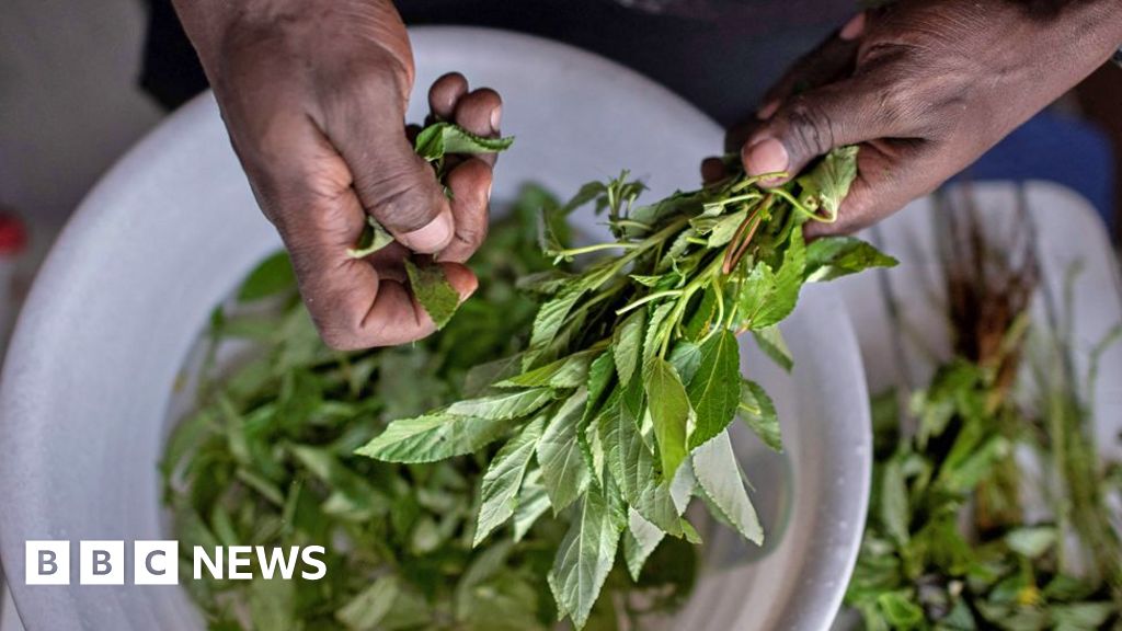 Why Kenya’s forgotten indigenous vegetables are proving a culinary hit