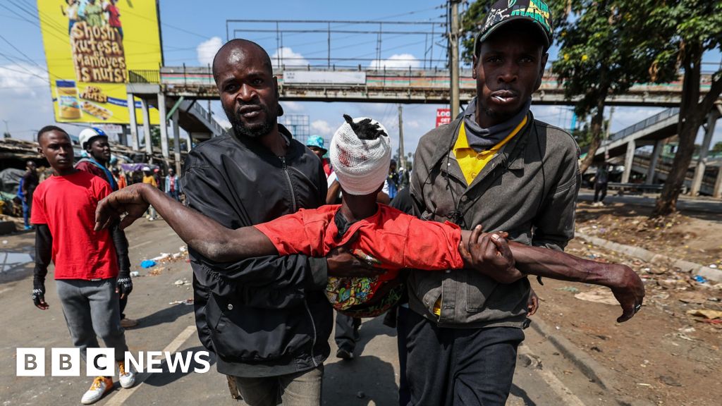 IPOA police watchdog blames deaths on ‘disproportionate force’