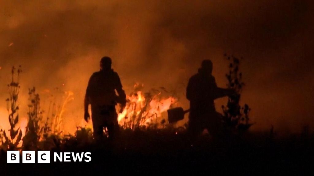 Southern European heatwave fans multiple wildfires