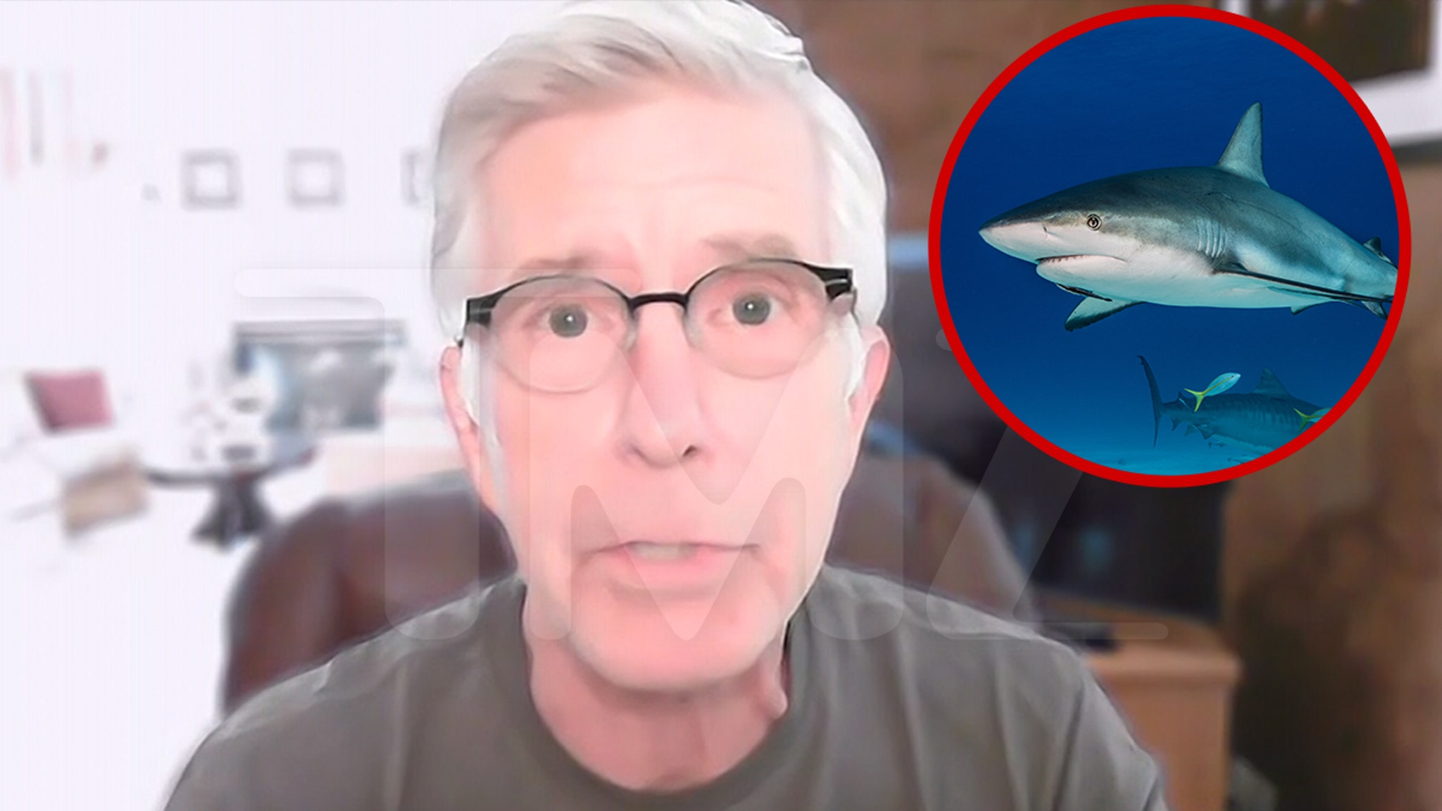Tom Bergeron Talks New TV Show ‘Dancing With Sharks’