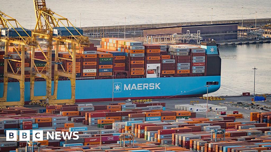 US-EU tariff deal a big Trump win but not a total defeat for Brussels