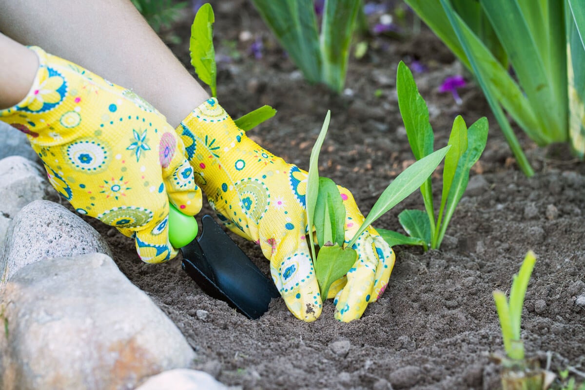 10 Non-Toxic Ways To Control Weeds