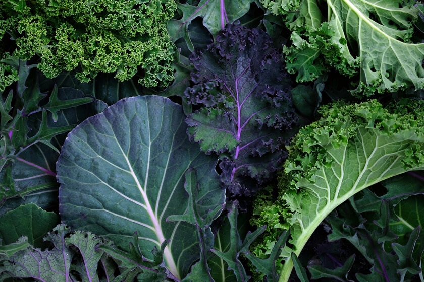 How To Grow Kale Organically