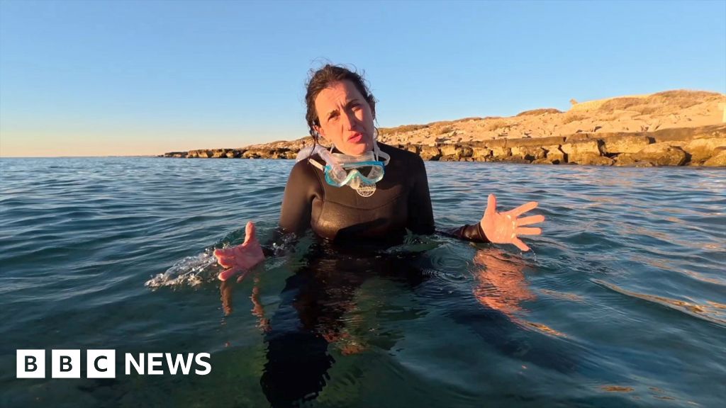 Can you un-bleach coral? BBC visits remote reef to find out