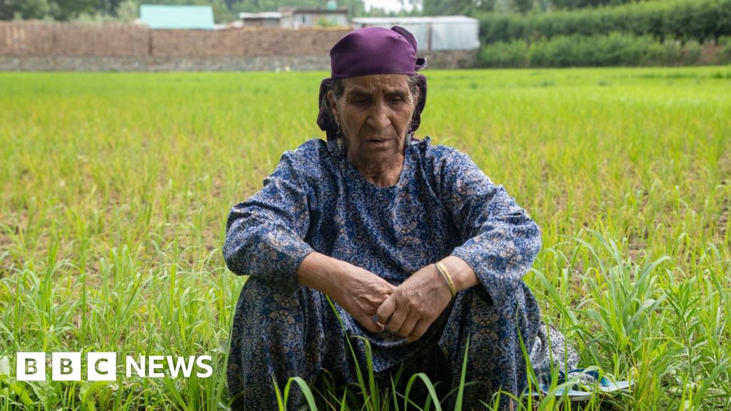 Kashmir’s summers are getting hotter, taking a toll on people and farms