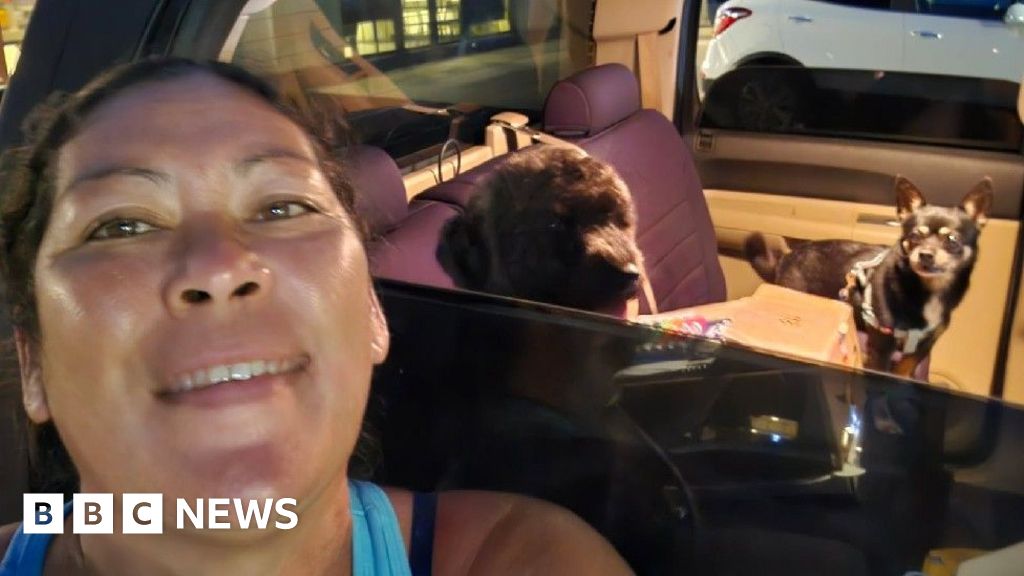 Hawaiians cram roads away from coasts as tsunami waves arrive