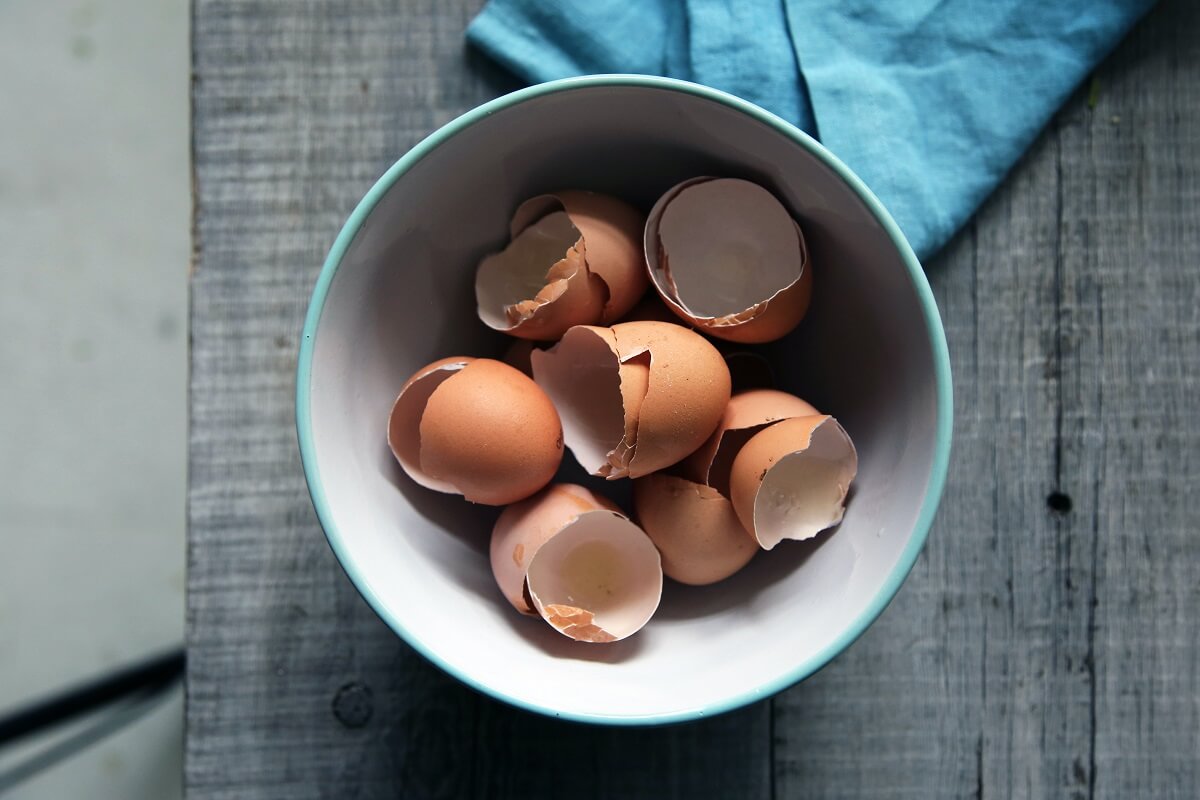 Inventive & Simple Eggshell Uses For Your Home And Garden • Insteading