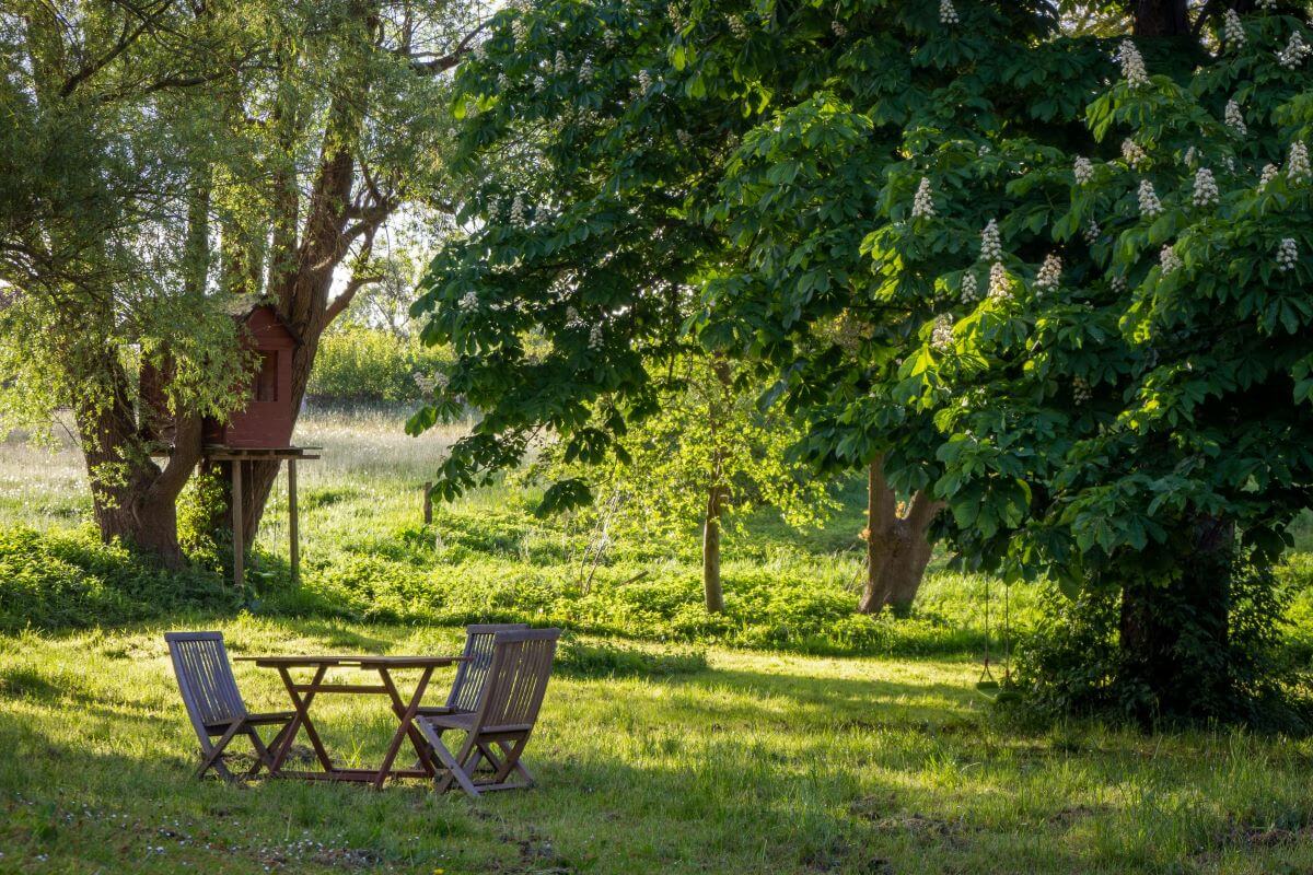 A Toast to the Realistic Garden • Insteading