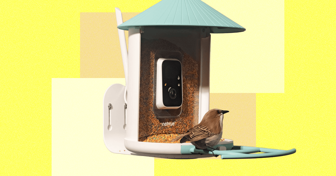 Best Bird Feeders With Cameras, Tested and Reviewed (2025)