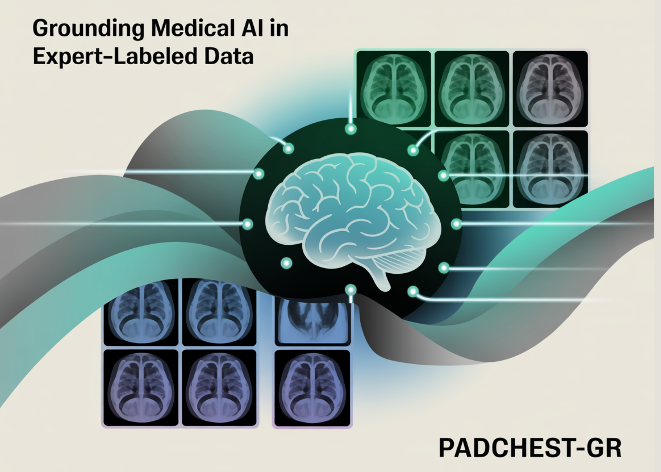 Grounding Medical AI in Expert‑Labeled Data: A Case Study on PadChest-GR- the First Multimodal, Bilingual, Sentence‑Level Dataset for Radiology Reporting