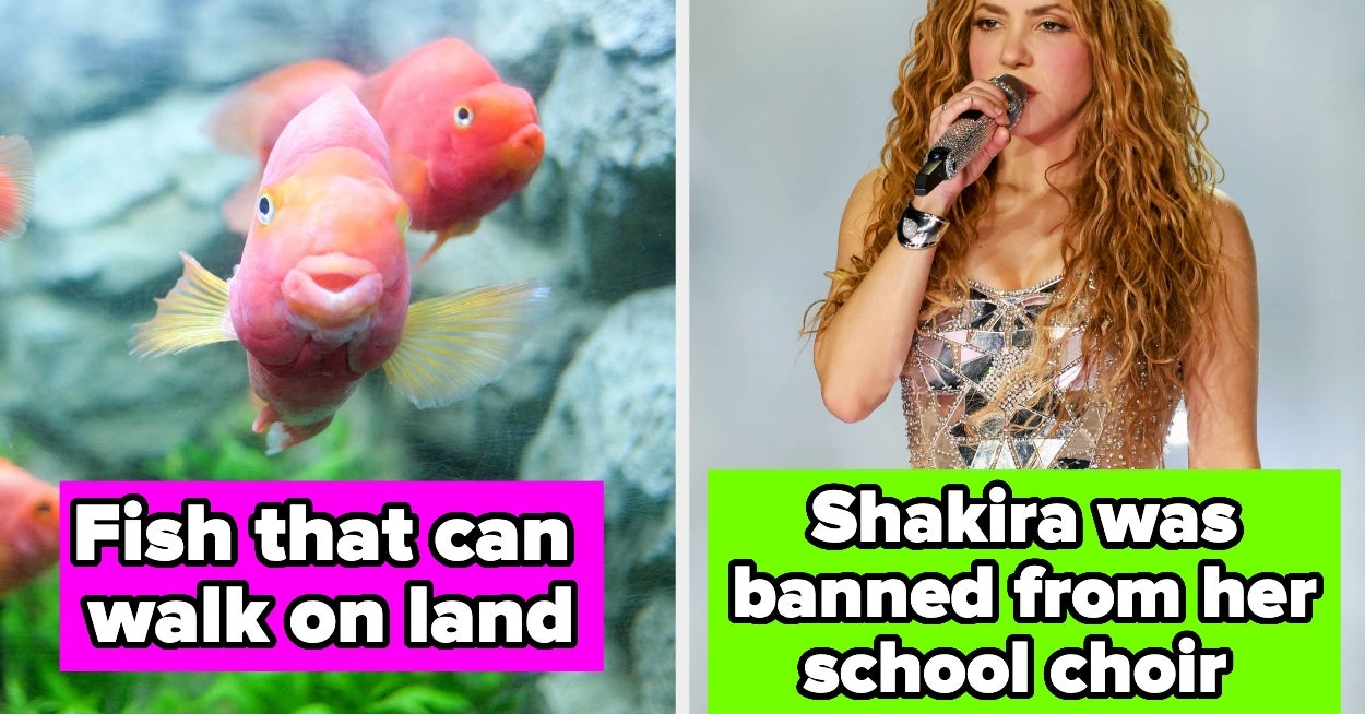 53 Facts That Are As Random As They Are Interesting