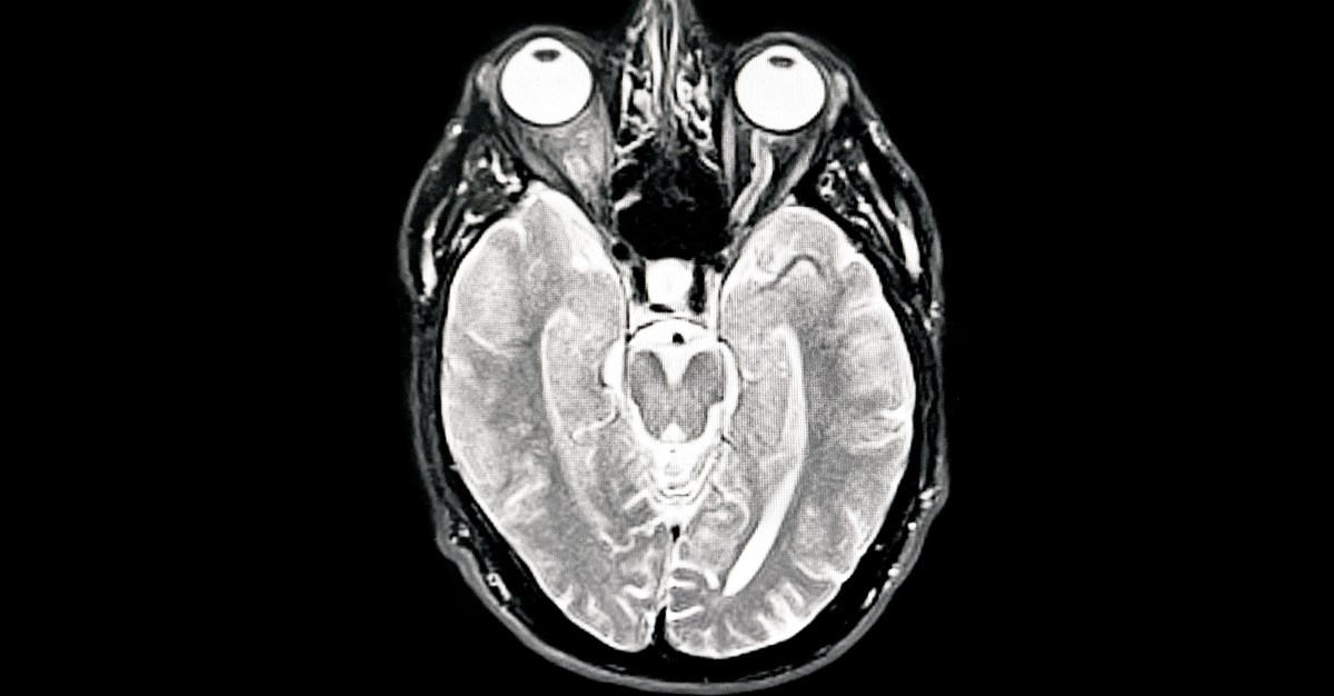 AI, climate change, and big tech have changed what it means to be human.