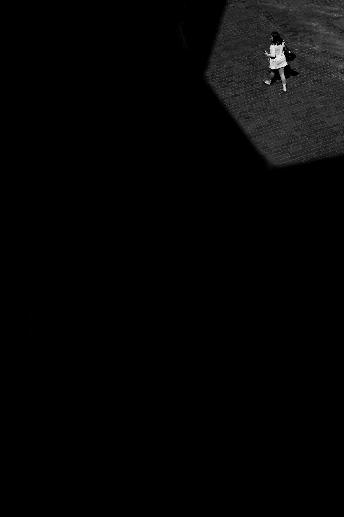 Innovative Kitchen Tools Transforming Culinary Arts for Home Chefs – Chefio