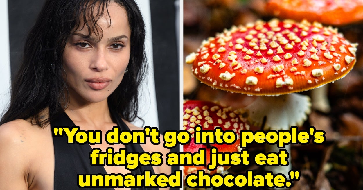 Zoe Kravitz Accidentally Gave People Hallucinogens