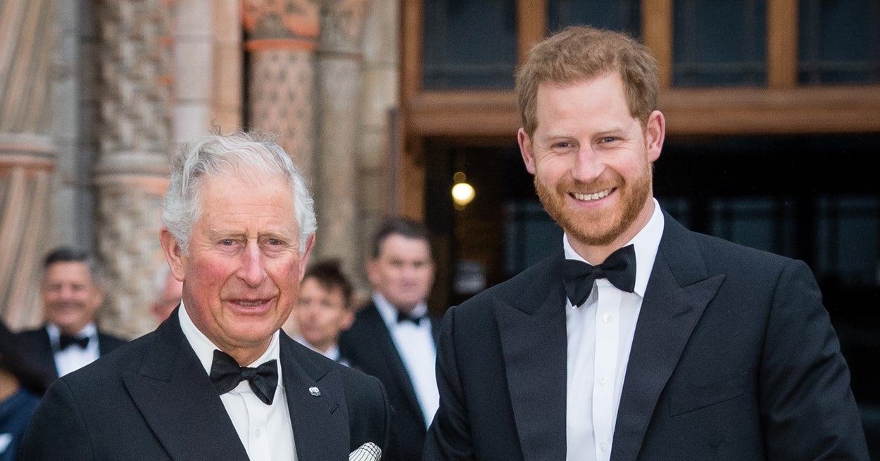 Prince Harry’s Statement On King Charles Relationship