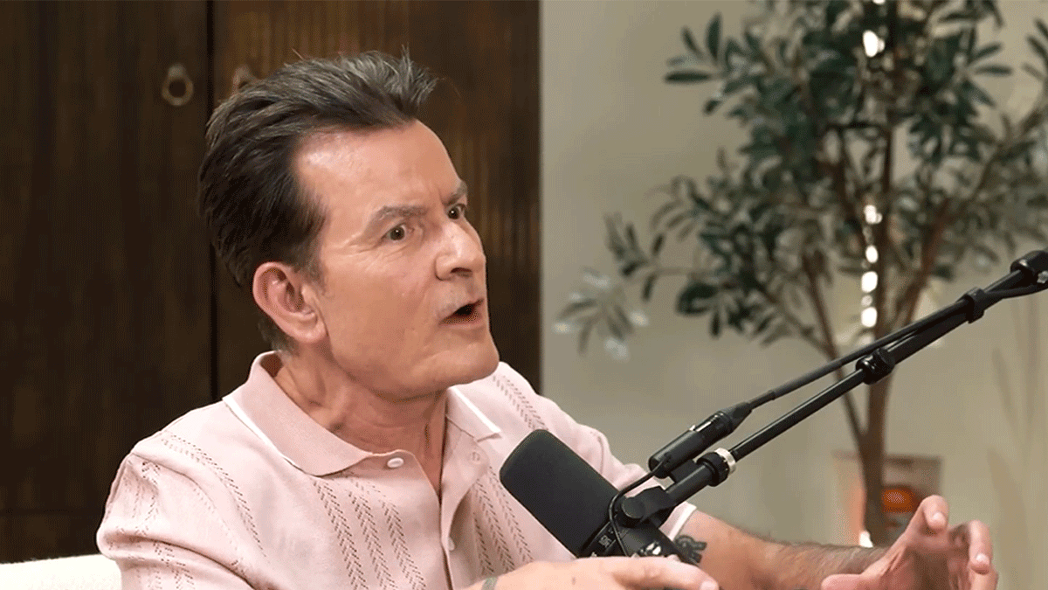Charlie Sheen Discusses Sleeping With 47K Women on Logan Paul Podcast