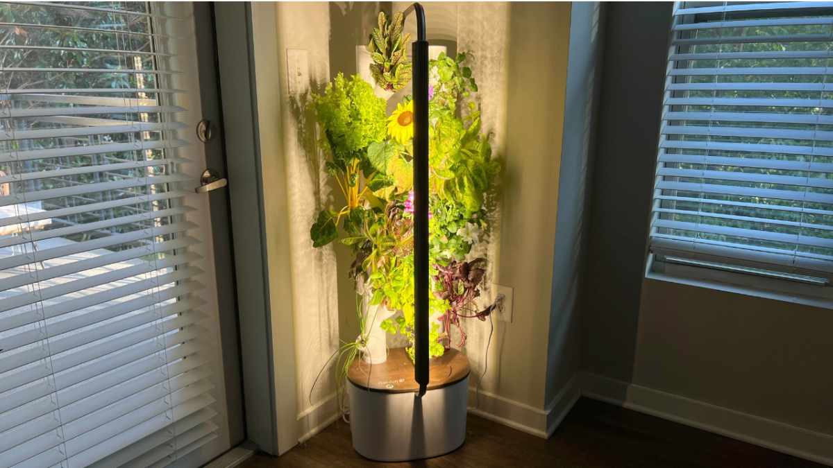 I used Gardyn to grow my own produce in my apartment for 3 months