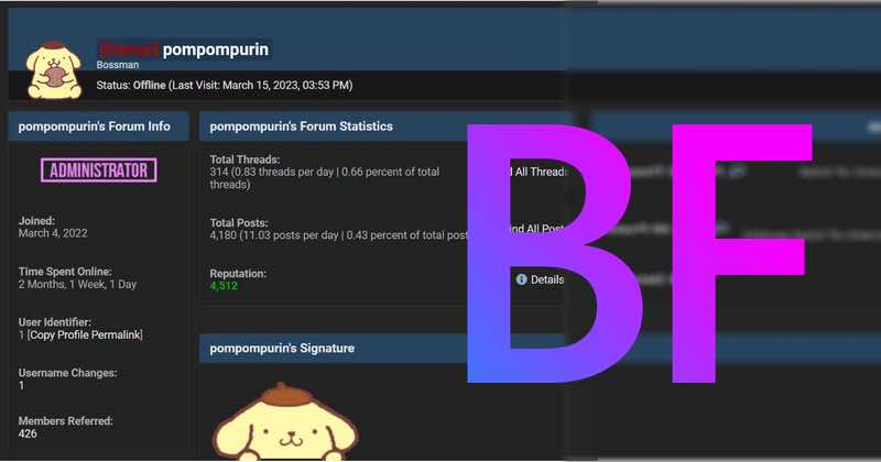 BreachForums creator heads back behind bars